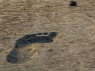 Archaeological Institute of America, Houston Society presents <i>The Great Road Trip: New Stories in the Human Evolutionary Journey</i>
