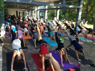UMLAUF Sculpture Garden presents UMLAUF Free Day of Yoga