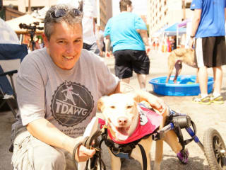Puppy Mills presents 8th Annual Puppy Mill Awareness Day of Texas