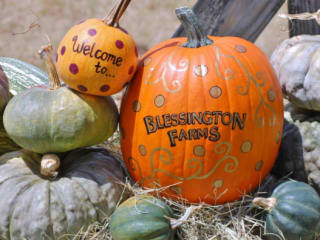 Blessington Farms' Pumpkin Patch and Fall Harvest Festival