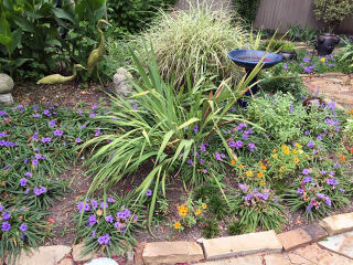 2017 Water-Wise Landscape Tour