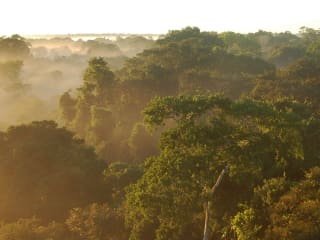 Rainforest Partnership presents 9th Annual Amazon in Austin: Socialize with Butterflies