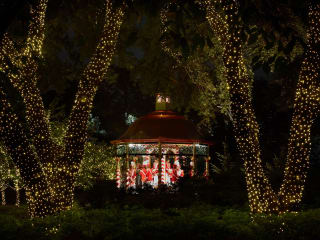 Holiday at the Arboretum