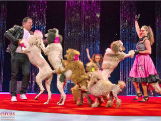 Cirque Joyeux Noel Dinner & Show