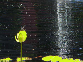 "Light and Shadow" opening recepton