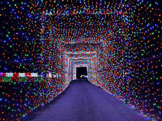 Christmas Light Fest