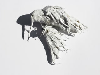 Rachel Gardner and David Solomon: "Fall to the Wild" opening reception