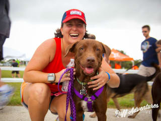 Rescue Roundup