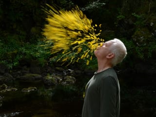 Leaning into The Wind: Andy Goldsworthy