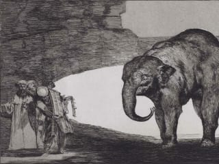 Goya in Black and White