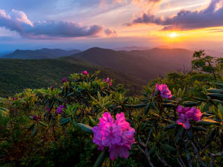 Appalachian Spring