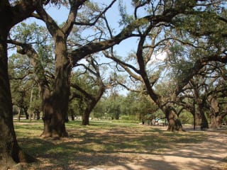 Places-Unique-Elizabeth Baldwin Park-path-1