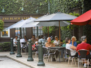 Places-Drinks-Black Labrador