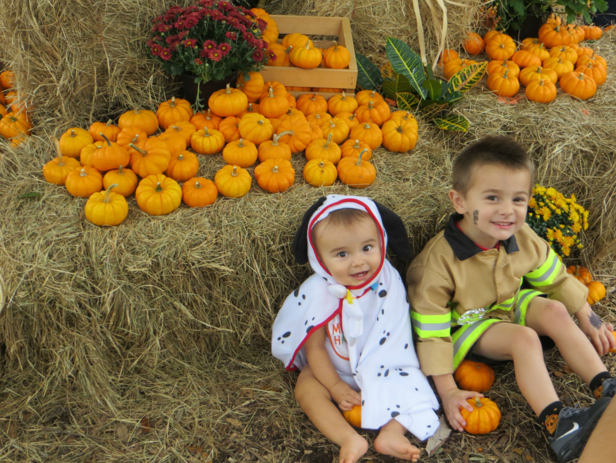 Houston Zoo presents Zoo Boo