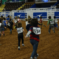 Rodeo Rumble