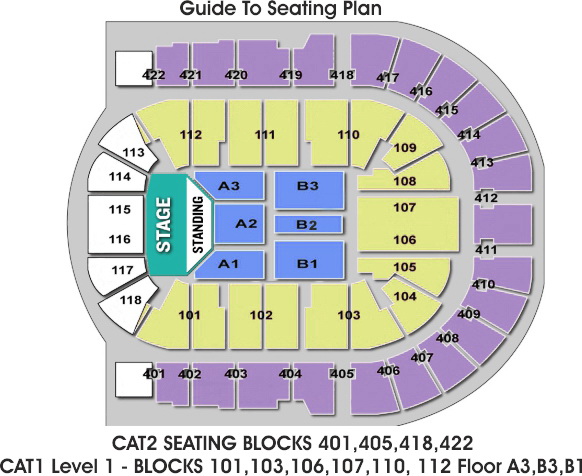 The O2 Arena London seating plan Standing block