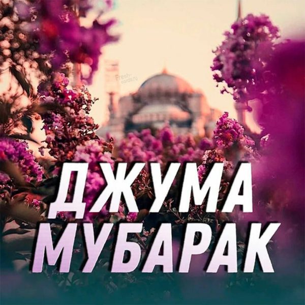 110 картинок Джума Мубарак