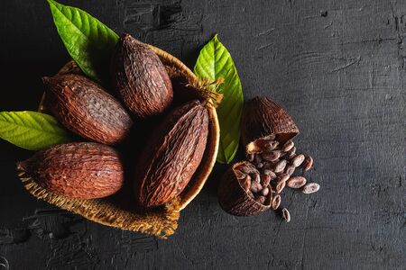 Top view dried cocoa and cocoa beans Stock Photo