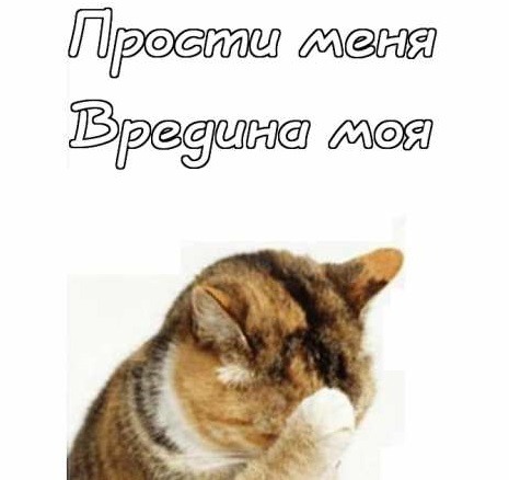 «»