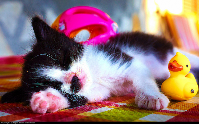 Moyan Brenn/Flickr