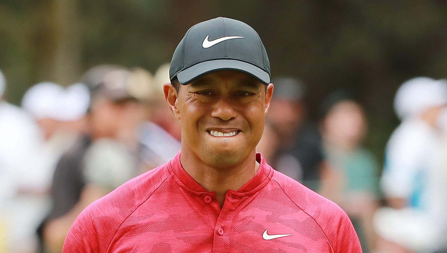 tiger woods the players