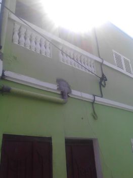 Maison à vendre quartier 6