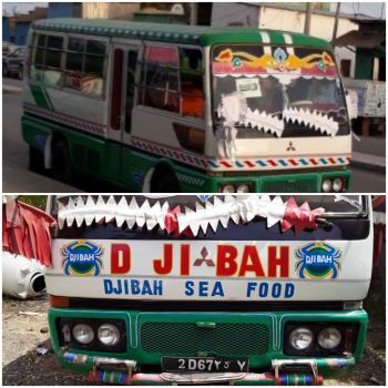 Bus Mitsubishi rosa