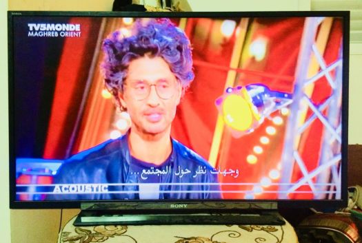 Écran plasma Sony