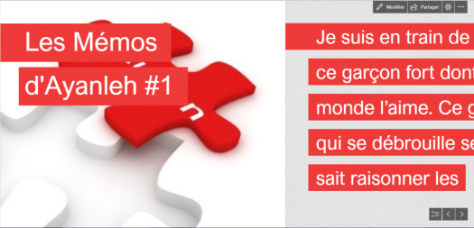 Les Mémos d'Ayanleh, Épisode 1