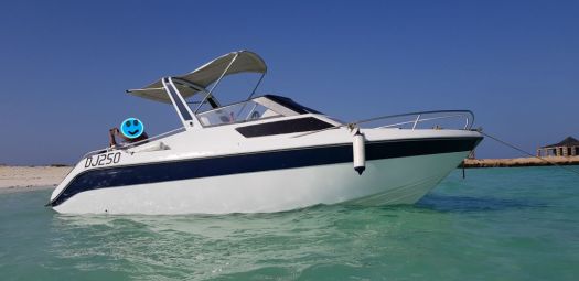Bateau Jeanneau LEADER 650 moteur 175CV 4T - 360hr