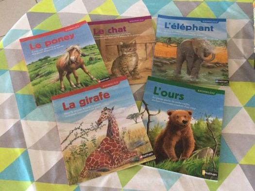 Lots de livres