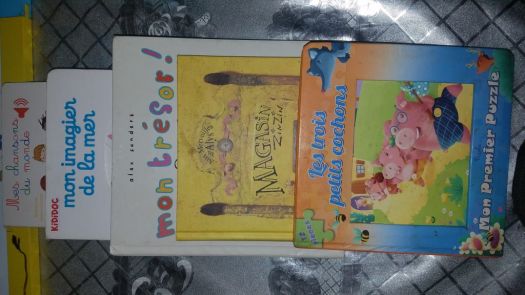 Lot de livres