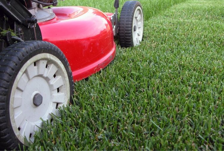 home franks lawn service franks lawn service grass mowing service