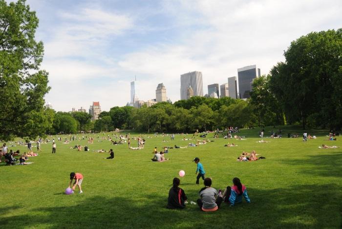 Sheep Meadow