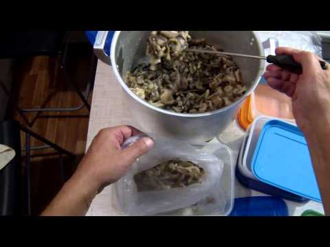Ranker Video
