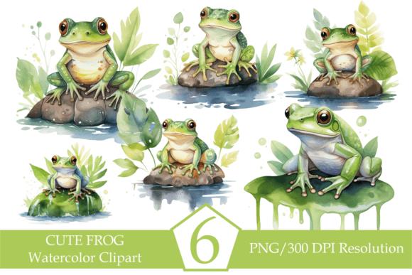 Watercolor Frog Illustrations