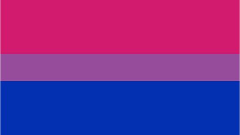Bisexual Pride Flag