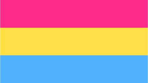 Pansexual Pride Flag