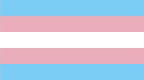 Transgender Pride Flag