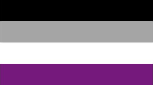 Asexual Pride Flag
