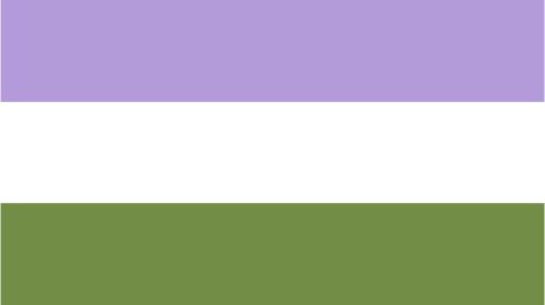Genderqueer Pride Flag