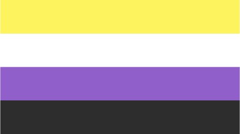 Non-Binary Pride Flag