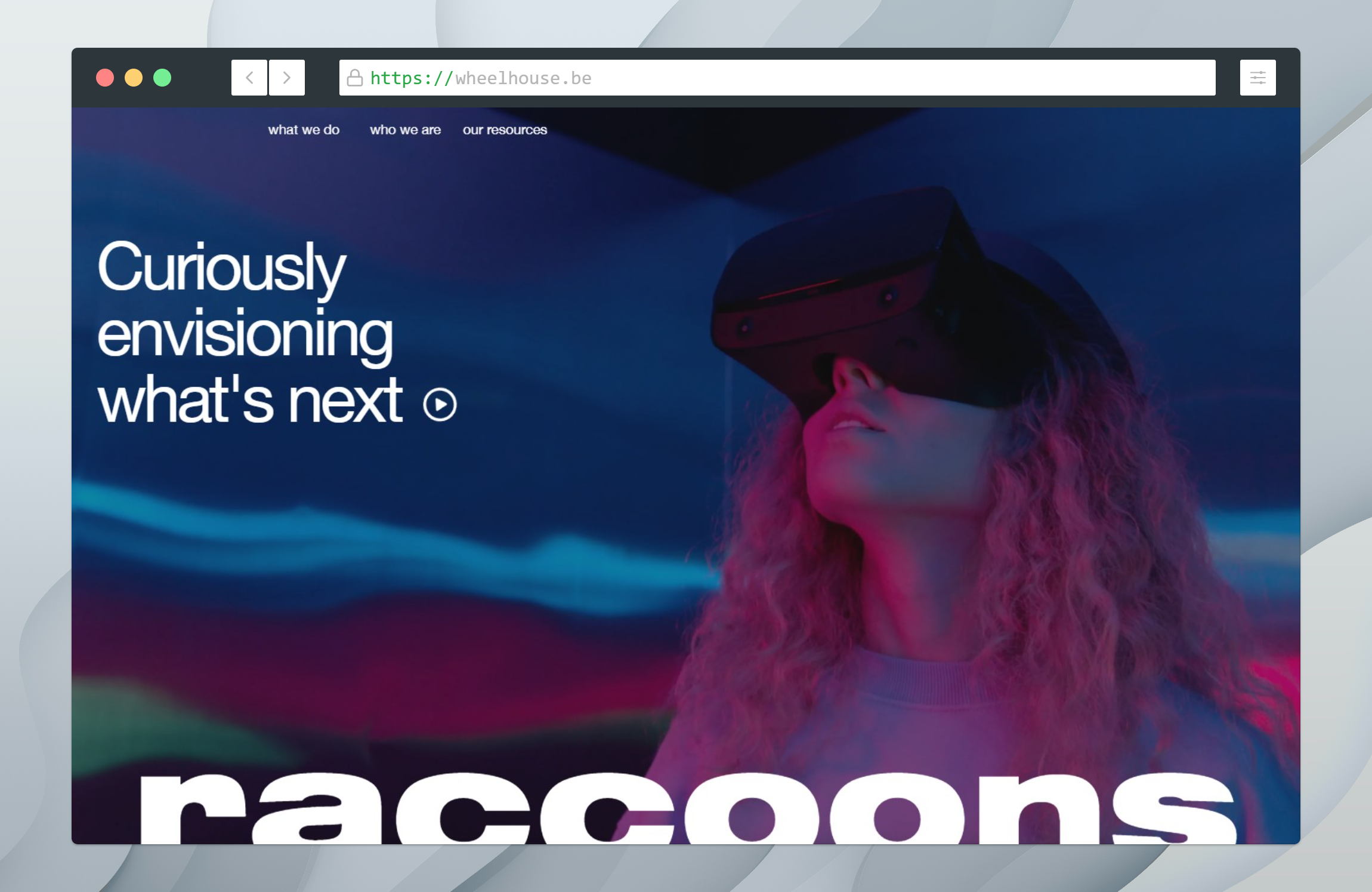 raccoons website: landing