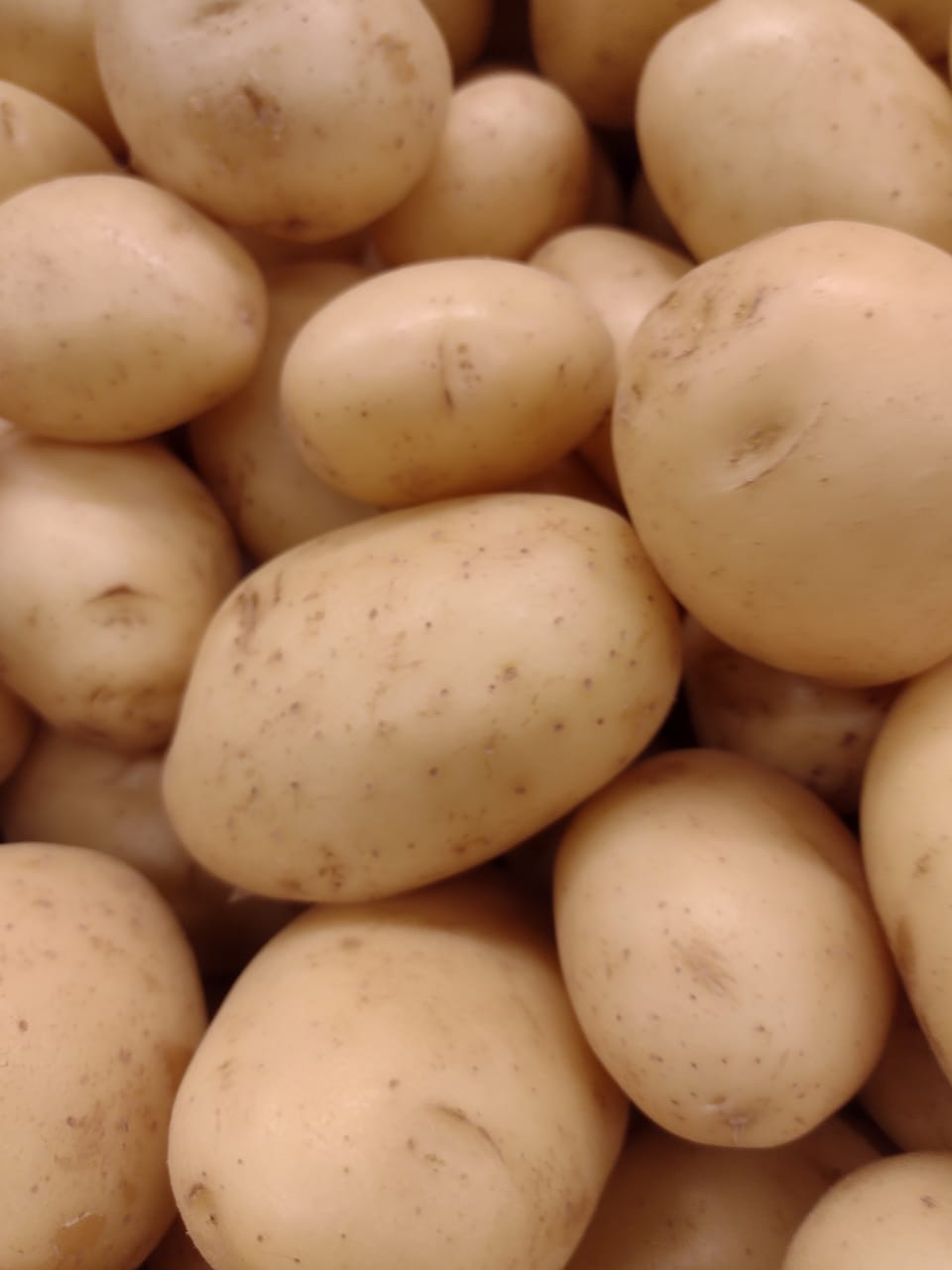 BATATA INGLESA kg
