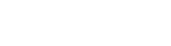 Skyflow Logo