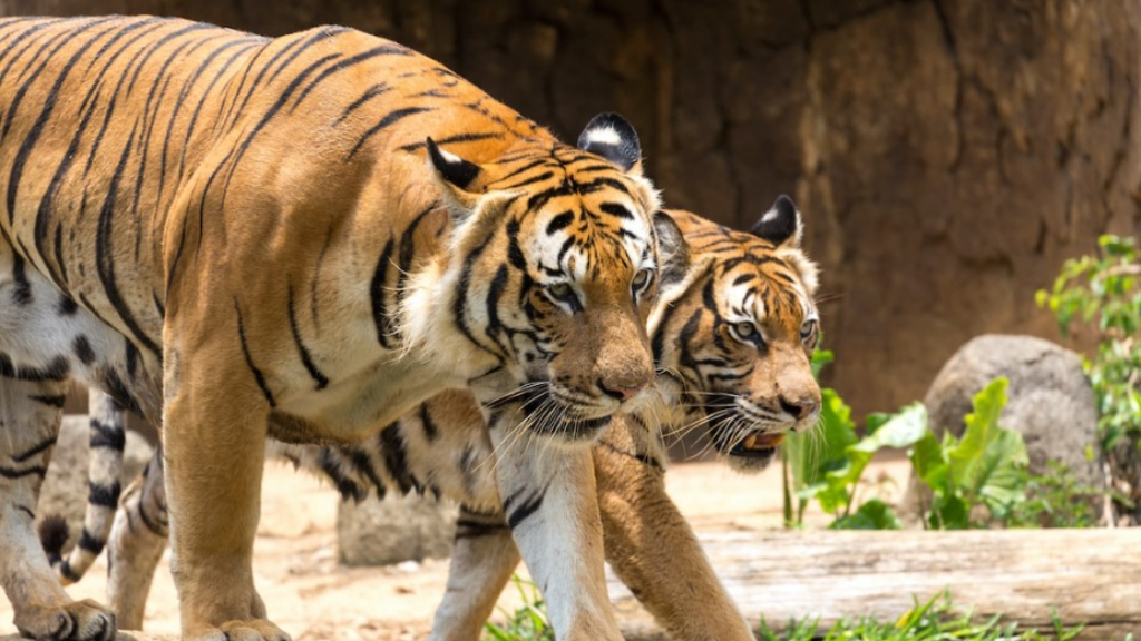 5 Melaka's Adventure and Leisure Hotspots