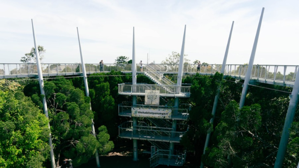 The Habitat Penang Hill: A Rainforest Experience