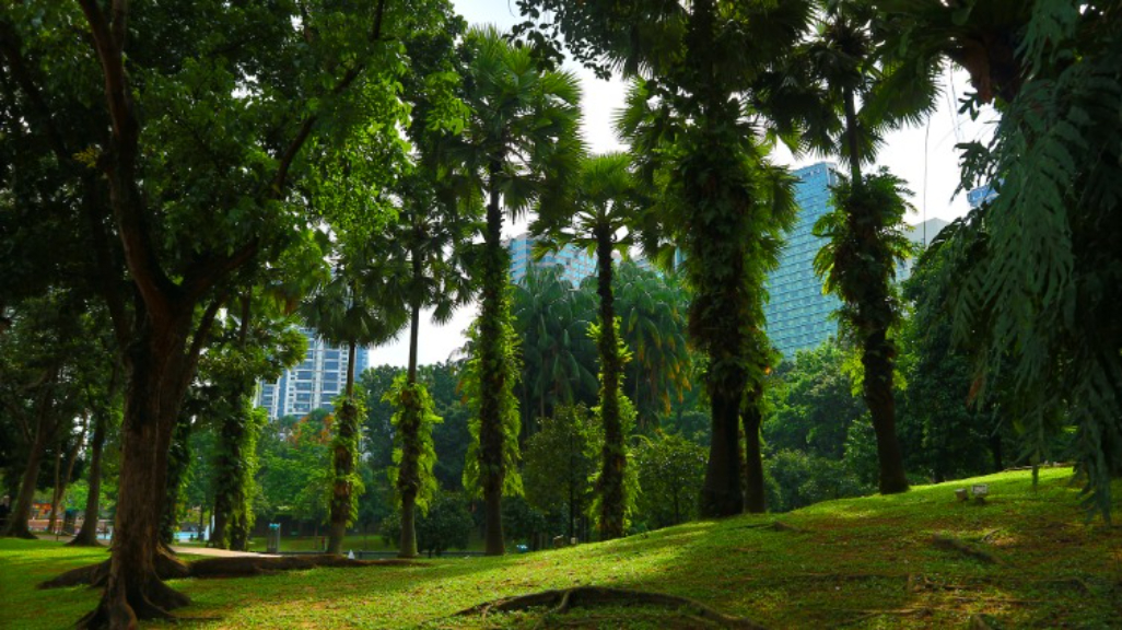 KLCC Park