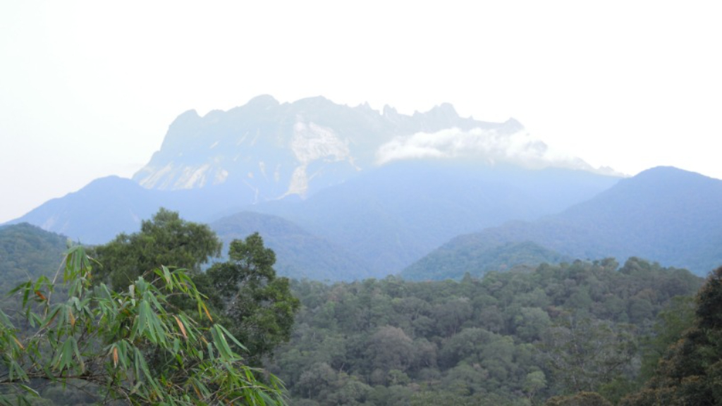 Kinabalu Park: Sabah's Ecological Wonderland