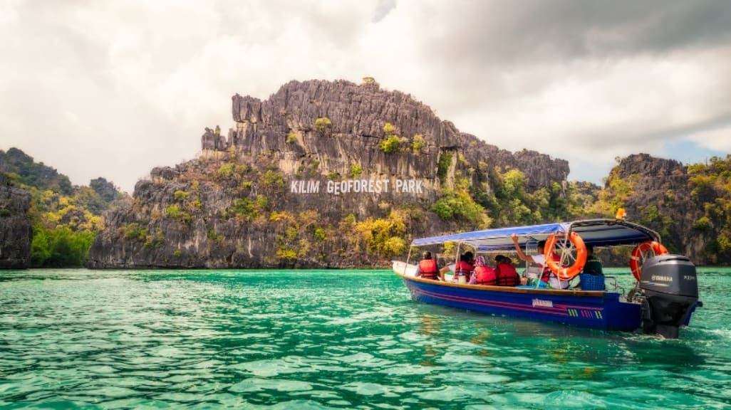 Langkawi Mangrove Tour: A Nature Lover's Dream